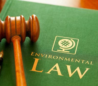 Energy and Environmental Law